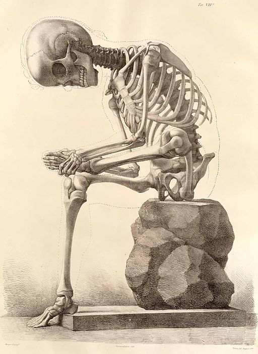 Sitting skeleton